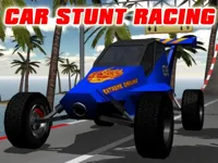 https://arcade-games.site/game/car-stunt-raching