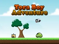 https://arcade-games.site/game/tora-boy-adventure