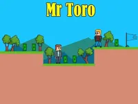 https://arcade-games.site/game/mr-toro