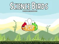 https://arcade-games.site/game/science-birds