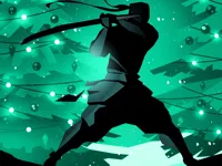 https://arcade-games.site/game/shadow-fight