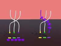 https://arcade-games.site/game/twisted-rods