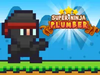 https://arcade-games.site/game/super-ninja-plumber