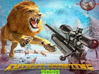 https://arcade-games.site/game/wild-animal-hunting