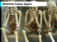 https://arcade-games.site/game/skeletons-funny-jigsaw