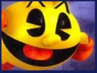 https://arcade-games.site/game/pac-man-revenge