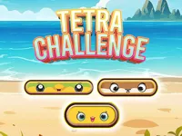 https://arcade-games.site/game/tetra-challenge