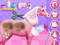 https://arcade-games.site/game/princess-horse-caring