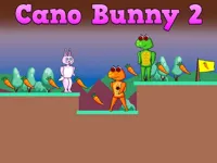 https://arcade-games.site/game/cano-bunny-2