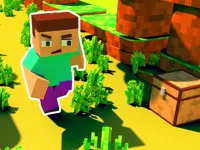 https://arcade-games.site/game/craft-runner-mine-rush