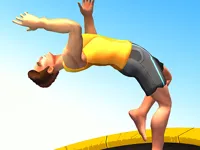 https://arcade-games.site/game/flip-trickster