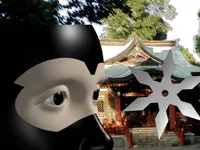 https://arcade-games.site/game/ninja-academy