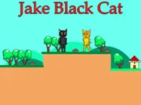 https://arcade-games.site/game/jake-black-cat