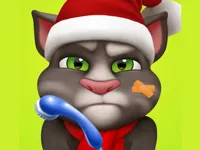 https://arcade-games.site/game/talking-tom-injfdfury