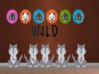 https://arcade-games.site/game/wolf-pup-escape2