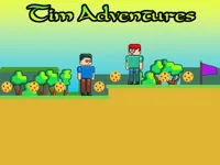 https://arcade-games.site/game/tim-adventures