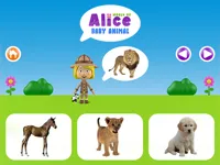 https://arcade-games.site/game/world-of-alice-baby-animal