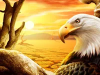 https://arcade-games.site/game/eagle-slide