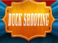 https://arcade-games.site/game/duckshooting