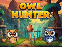 https://arcade-games.site/game/owl-hunter