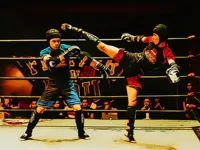 https://arcade-games.site/game/fighters-in-the-ring
