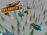 https://arcade-games.site/game/sky-hunter-3d
