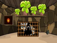 https://arcade-games.site/game/rescue-the-raccoon