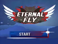 https://arcade-games.site/game/eternal-fly