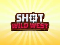 https://arcade-games.site/game/shotwildwest