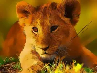 https://arcade-games.site/game/wild-baby-animals-jigsaw
