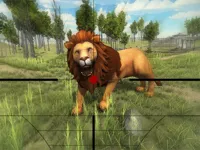 https://arcade-games.site/game/lion-hunting-3d