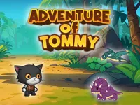 https://arcade-games.site/game/advanture-of-tommy