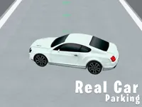 https://arcade-games.site/game/real-car-parking-3d